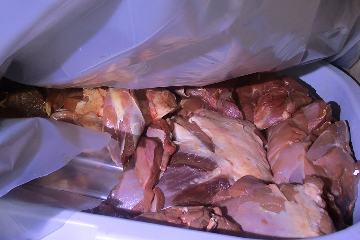 В Невельском районе остановили незаконную перевозку тонны мяса диких животных