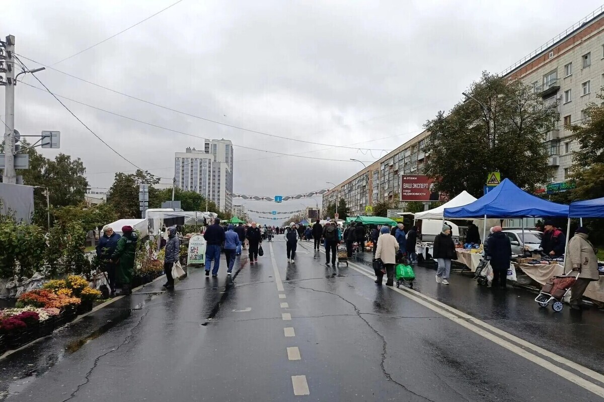 В Ульяновской области 16 октября воздух прогреется до +23 градусов