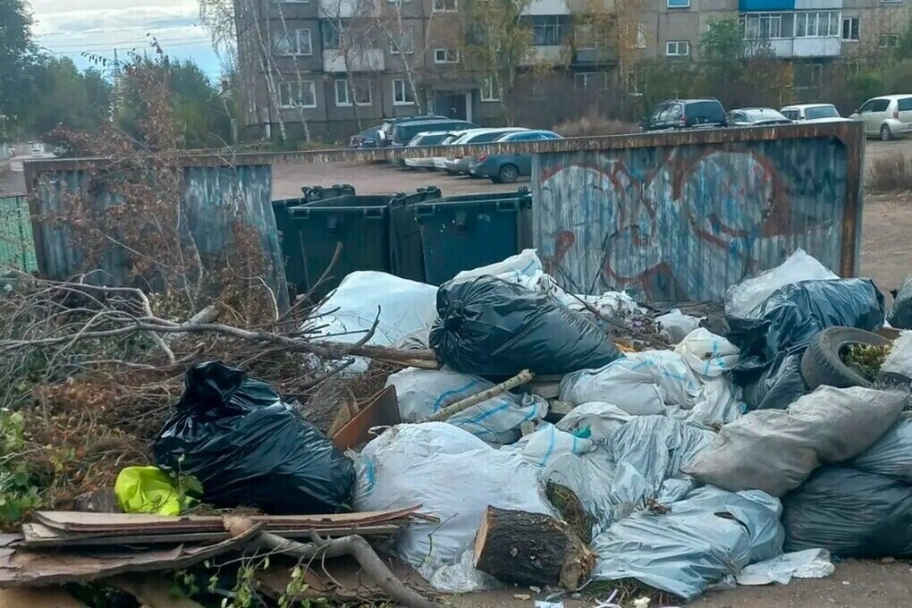 «Заросли» отходов вернулись на мусорную площадку Черногорска