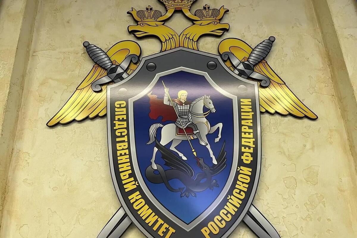 В Чудовском округе на отца и сына завели дела из-за запрещенной символики