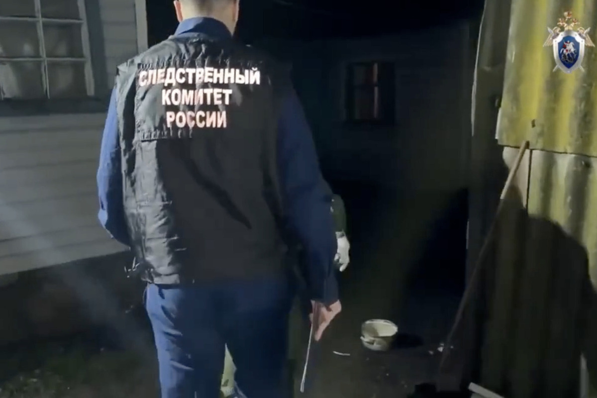 Россиянин набросился с ножом на сожительницу и 6-летнего ребенка
