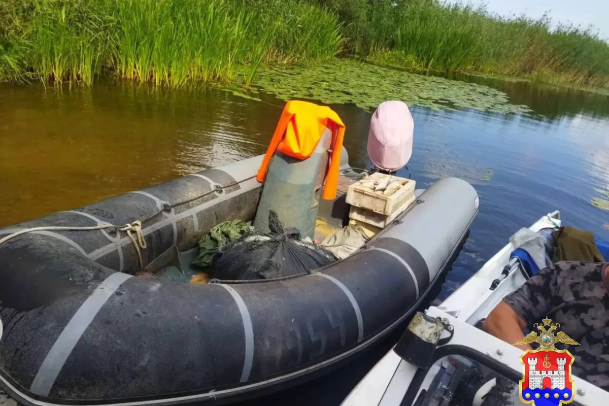 В Калининградской области участились случаи незаконной добычи рыбы