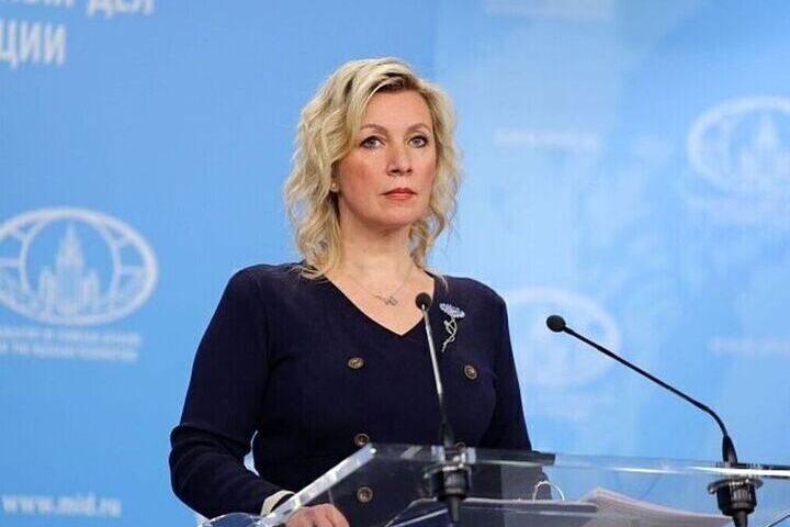 Захарова посоветовала европейскому политику обратиться к психиатрам