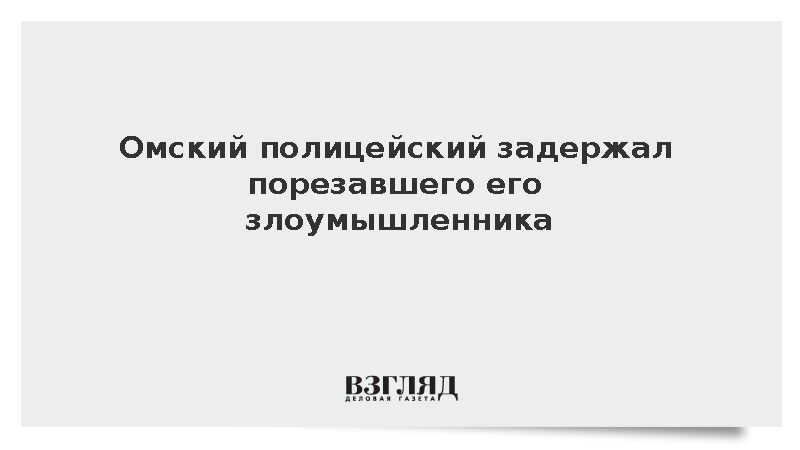 МВД: В Омской области раненый полицейский задержал злоумышленника