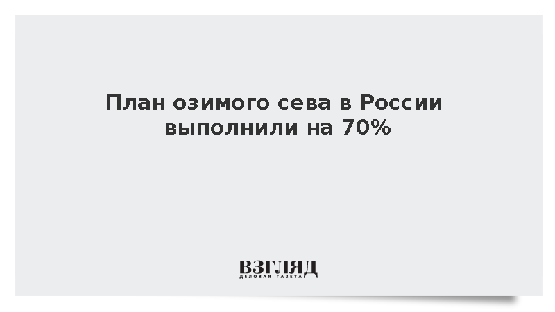 Лут: План озимого сева в России выполнили на 70%