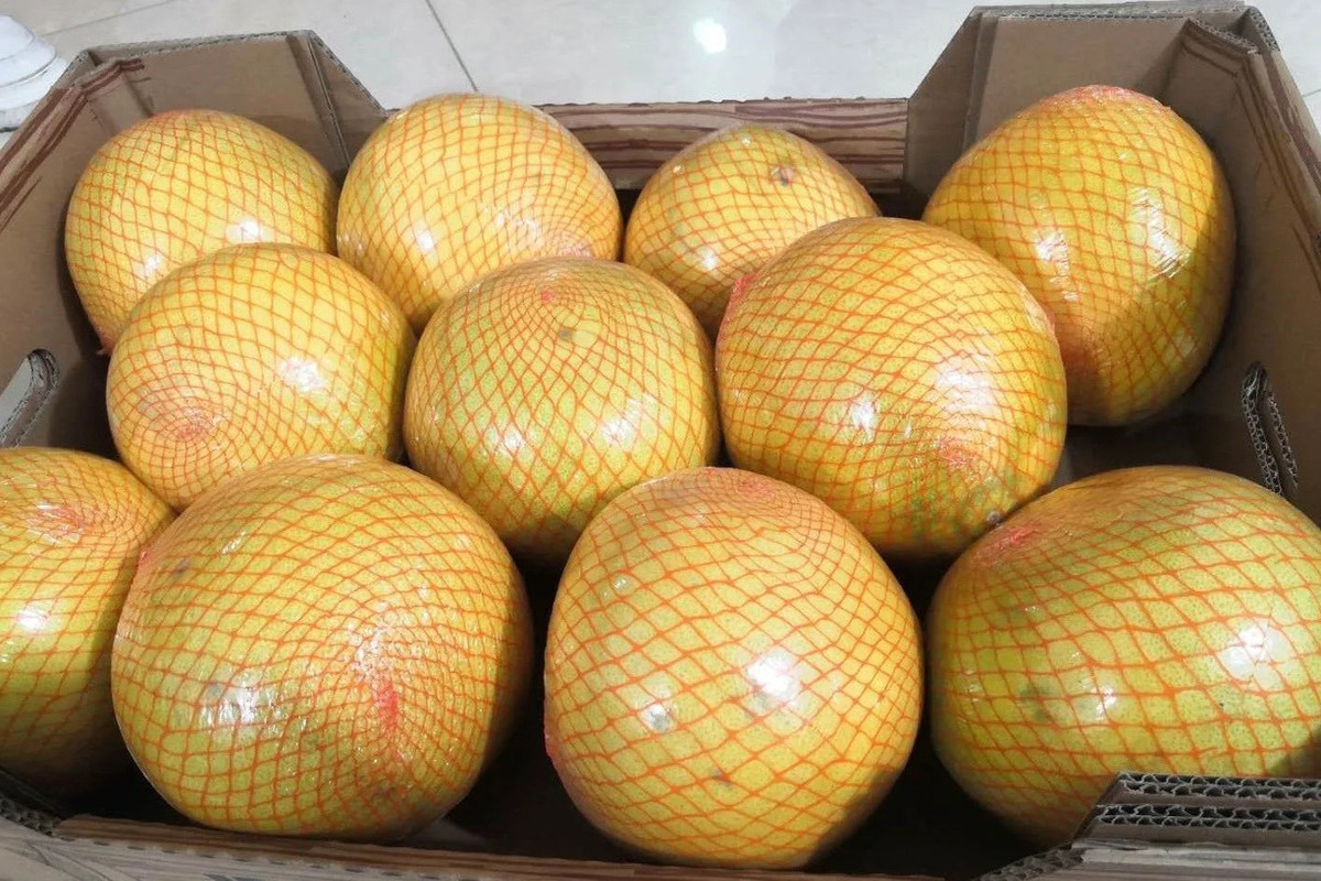 Из Китая в Калининградскую область ввезли 450 тонн продукции