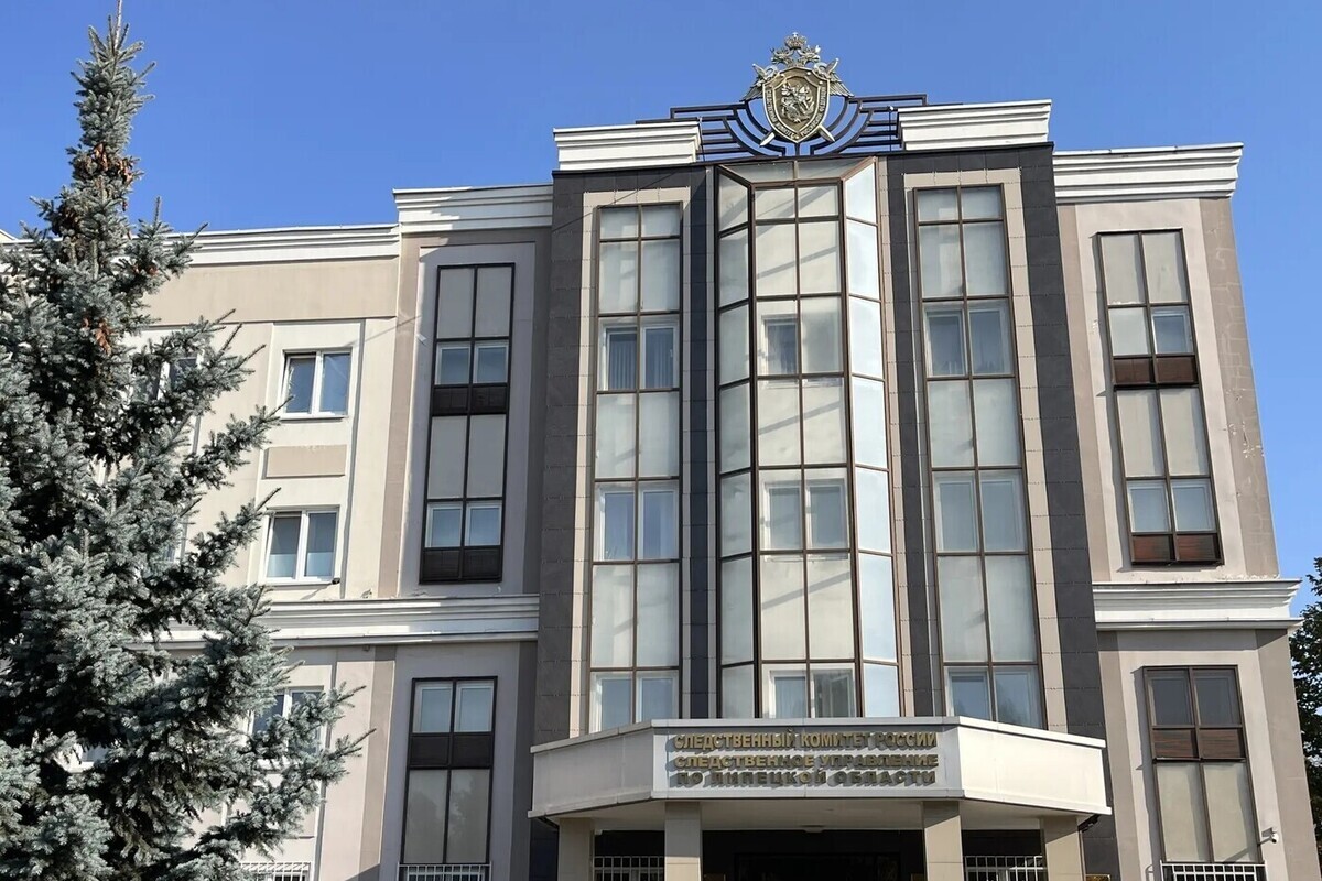 В Липецкой области 16-летнюю девушку обвинили в шести кражах на сумму более 30 тысяч рублей