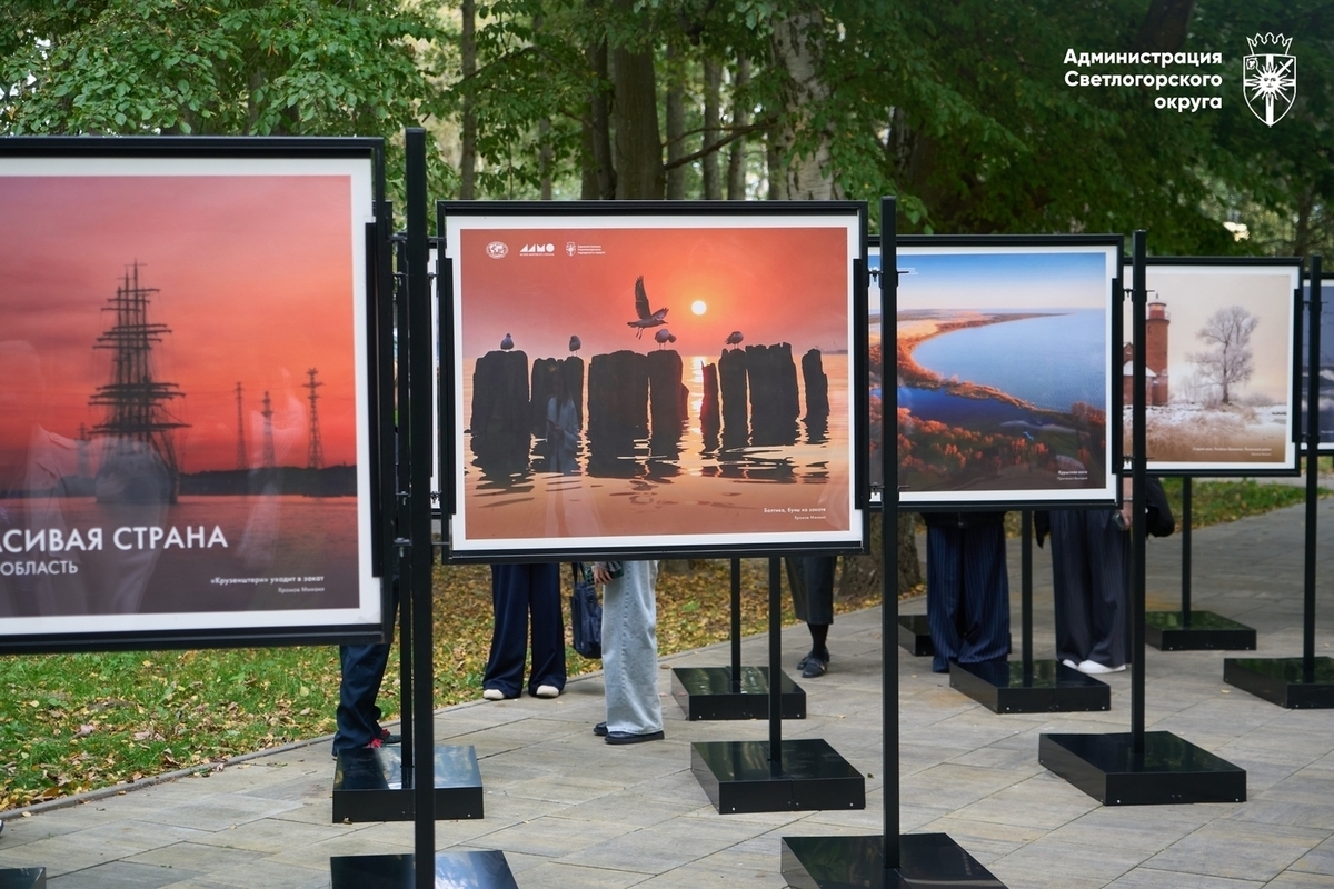 Более 300 фото региона украсили парк «Времена года» в Светлогорске