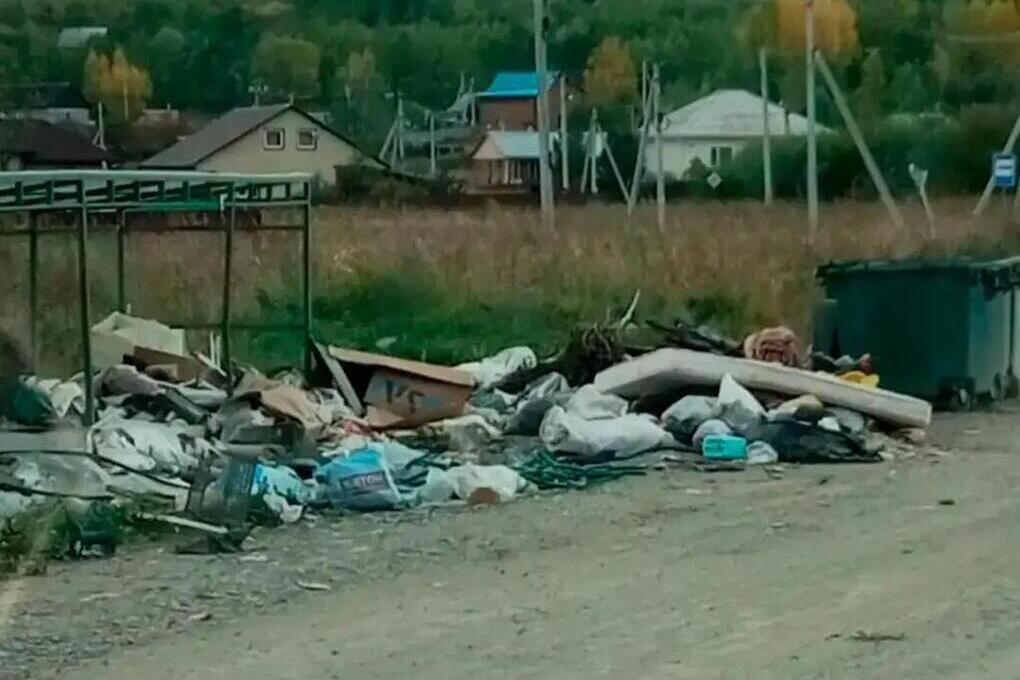 Медведей в хакасские города и поселки приманивает мусор около чистых баков