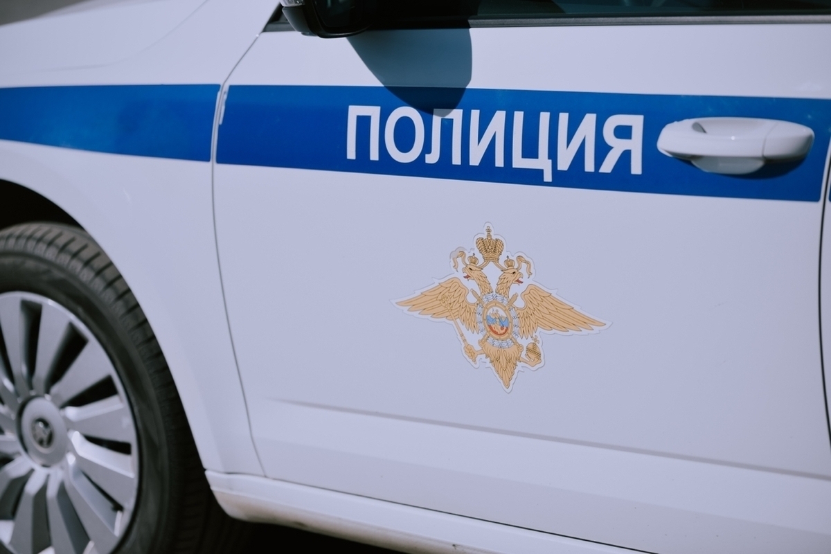 Под Иланским застрелили медведя, который пугал людей