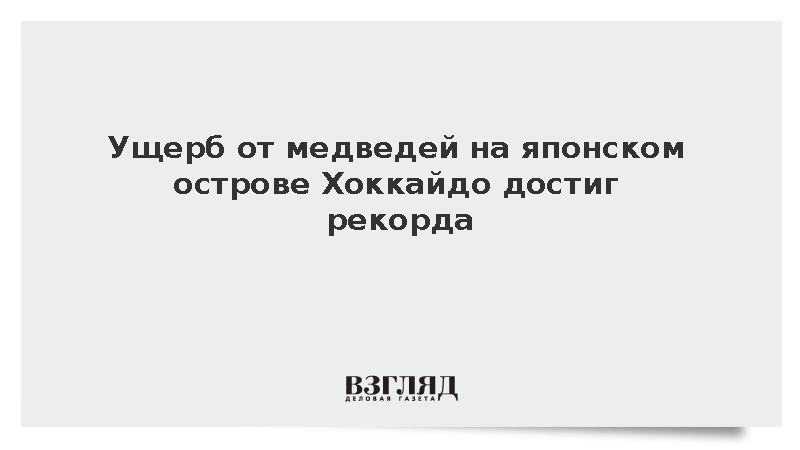 Ущерб от медведей на японском острове Хоккайдо превысил 3 млн долларов