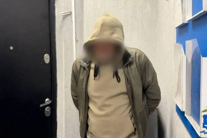 В Астрахани застрелили кота на глазах у хозяйки: двое задержаны