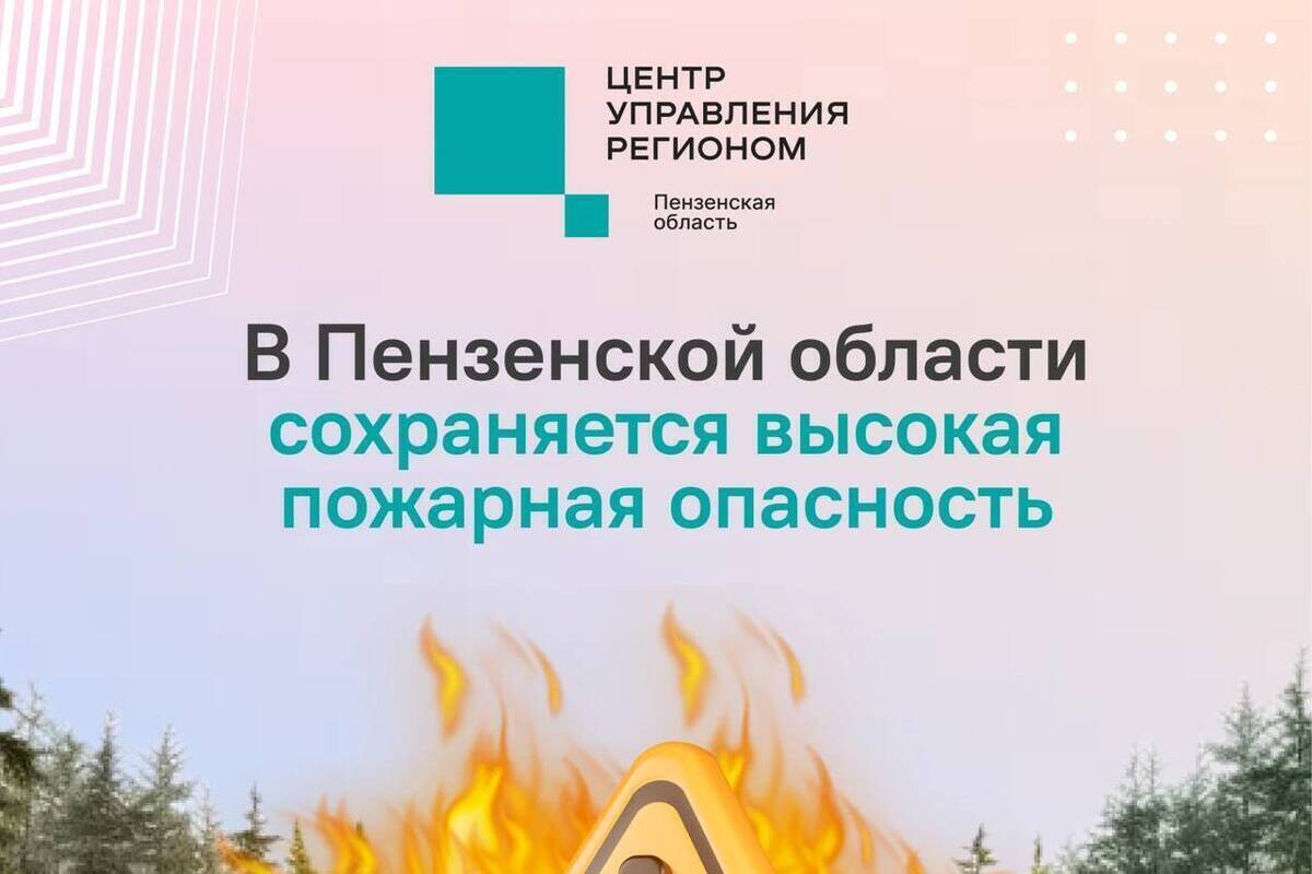 В лесах Пензенской области объявлена высокая пожарная опасность