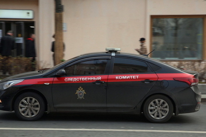 В российском городе школьники жестоко избили девочку