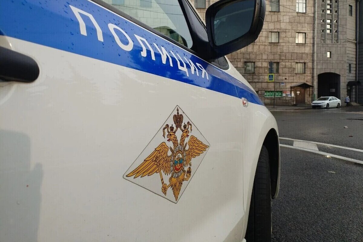 На Муринской дороге иномарка насмерть сбила пешехода-нарушителя