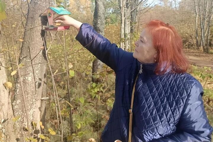 Помощь пернатым: в Кирове установили свыше 300 птичьих «столовых»