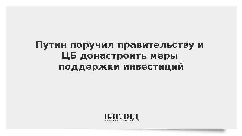 Путин поручил правительству и ЦБ донастроить меры поддержки инвестиций
