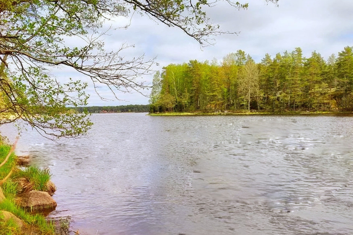 «Новгородский водоканал» продолжает загрязнять реки в Чудовском округе