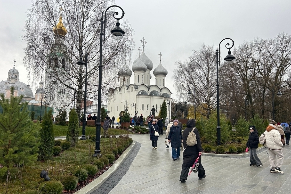 Более 50 соотечественников в этом году переехали в Вологодскую область