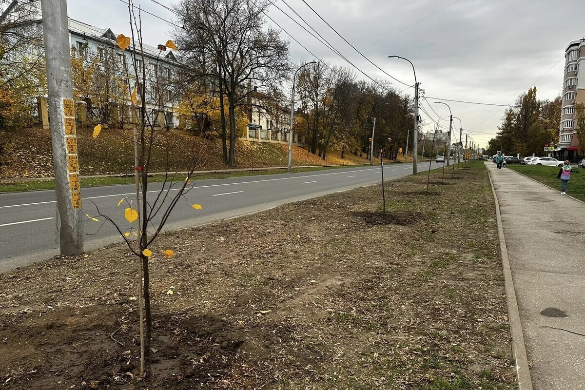 Губернатор Павел Малков принял участие в озеленении улицы Есенина
