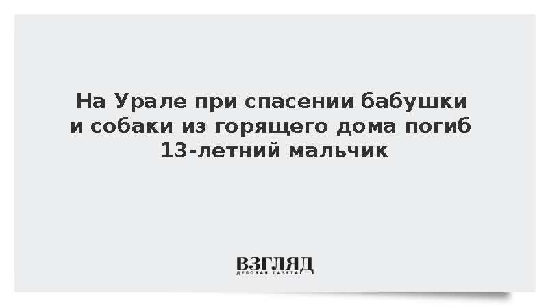 На Урале при спасении бабушки и собаки из горящего дома погиб 13-летний мальчик