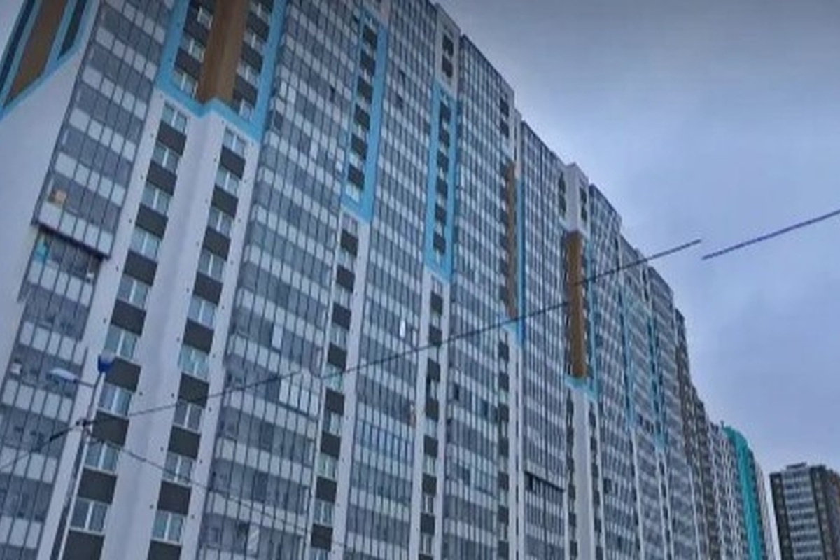 Насекомые начали вытеснять из квартир жителей дома на Чарушинской