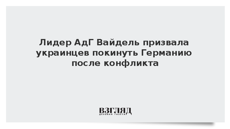 Лидер АдГ Вайдель призвала украинцев покинуть Германию после конфликта