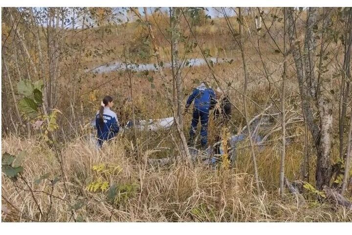 В Смоленском Поозерье спасли лебедя подранка