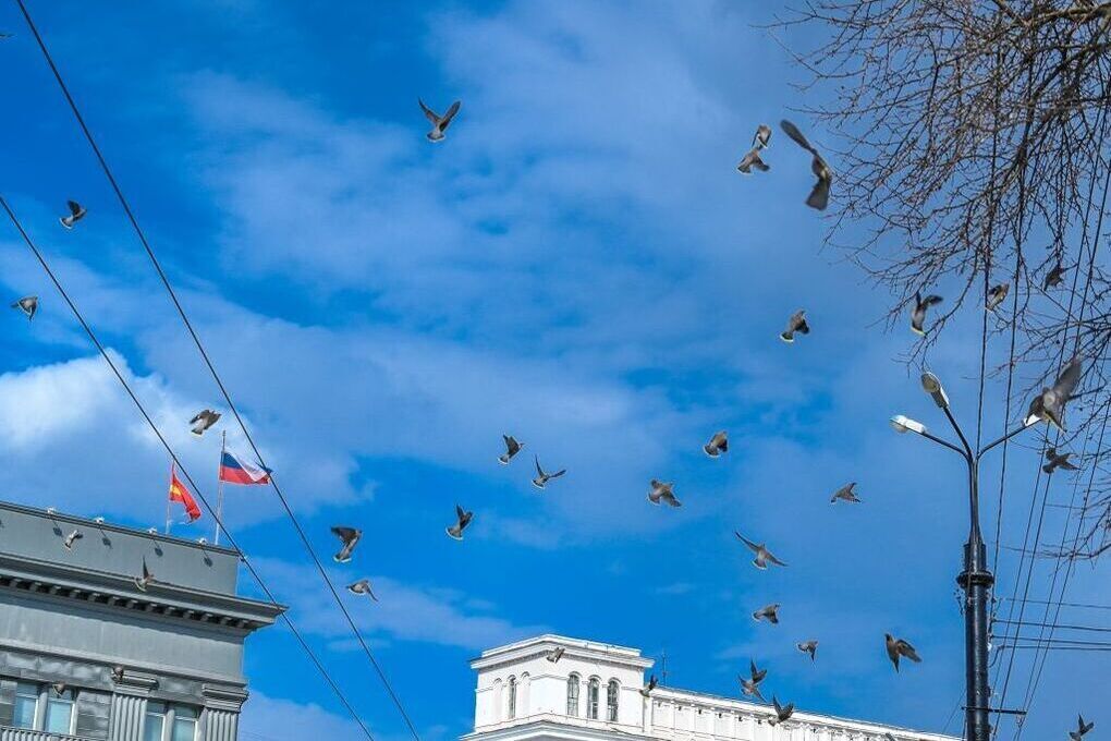 В Челябинской области в воскресенье сохранится теплая погода без дождей