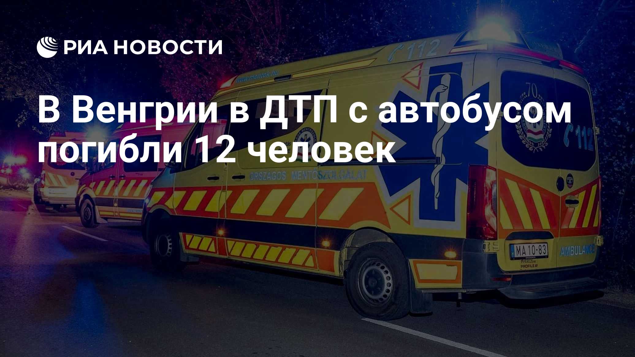 В Венгрии в ДТП с польским автобусом погибли 12 человек