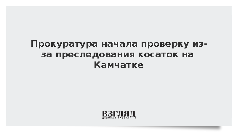 Прокуратура начала проверку из-за преследования косаток на Камчатке