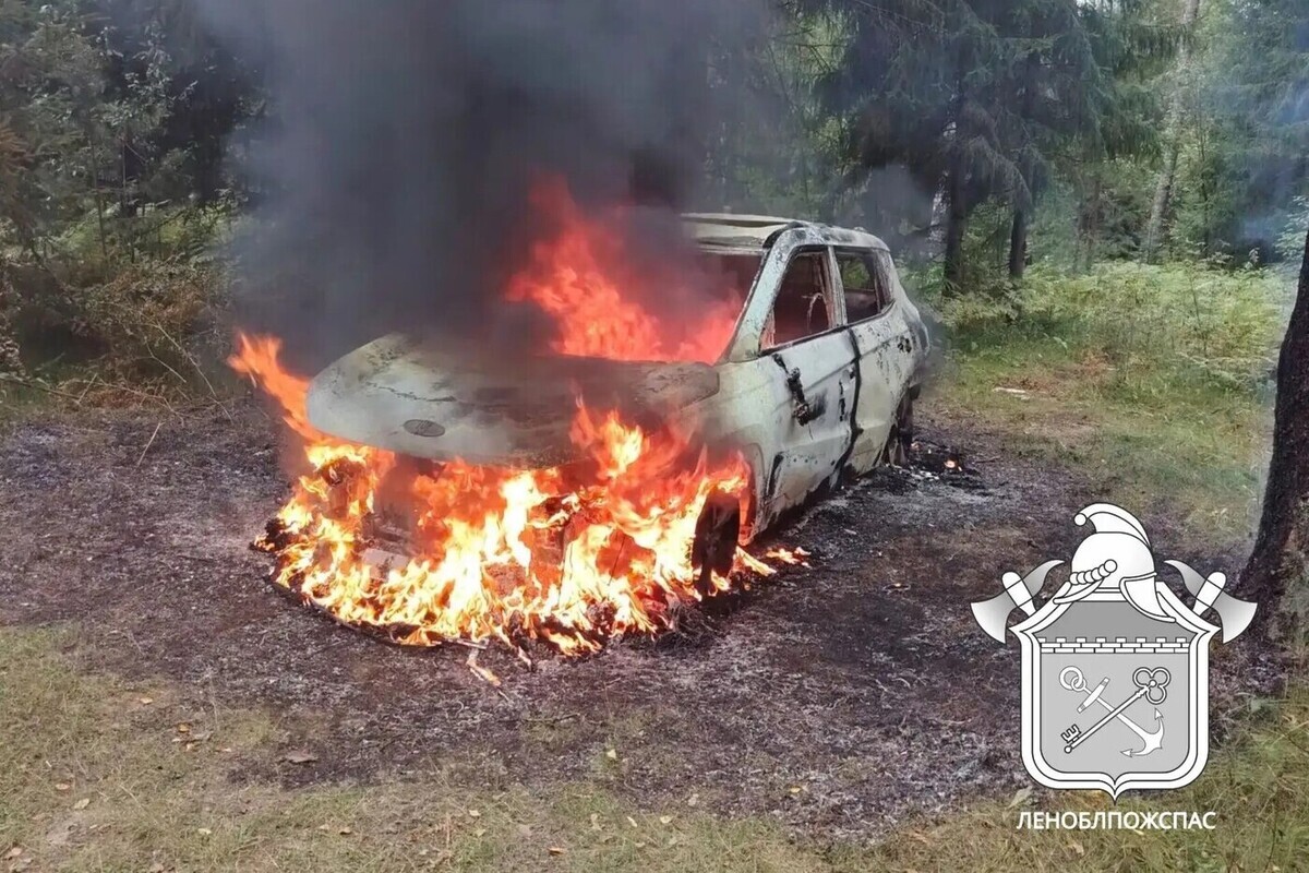 За сутки в Ленобласти произошло 12 пожаров и одно ДТП