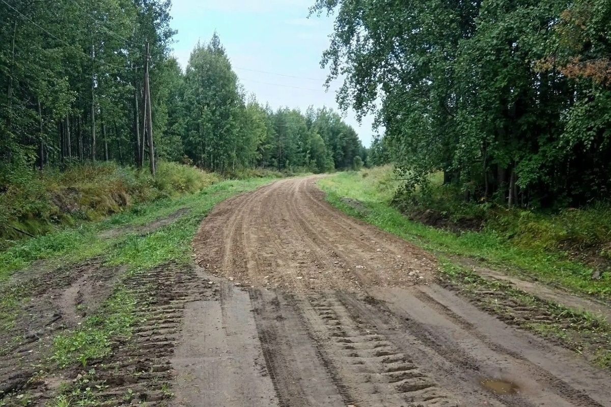В деревне Кобелево стартовали работы по ремонту автомобильной дороги