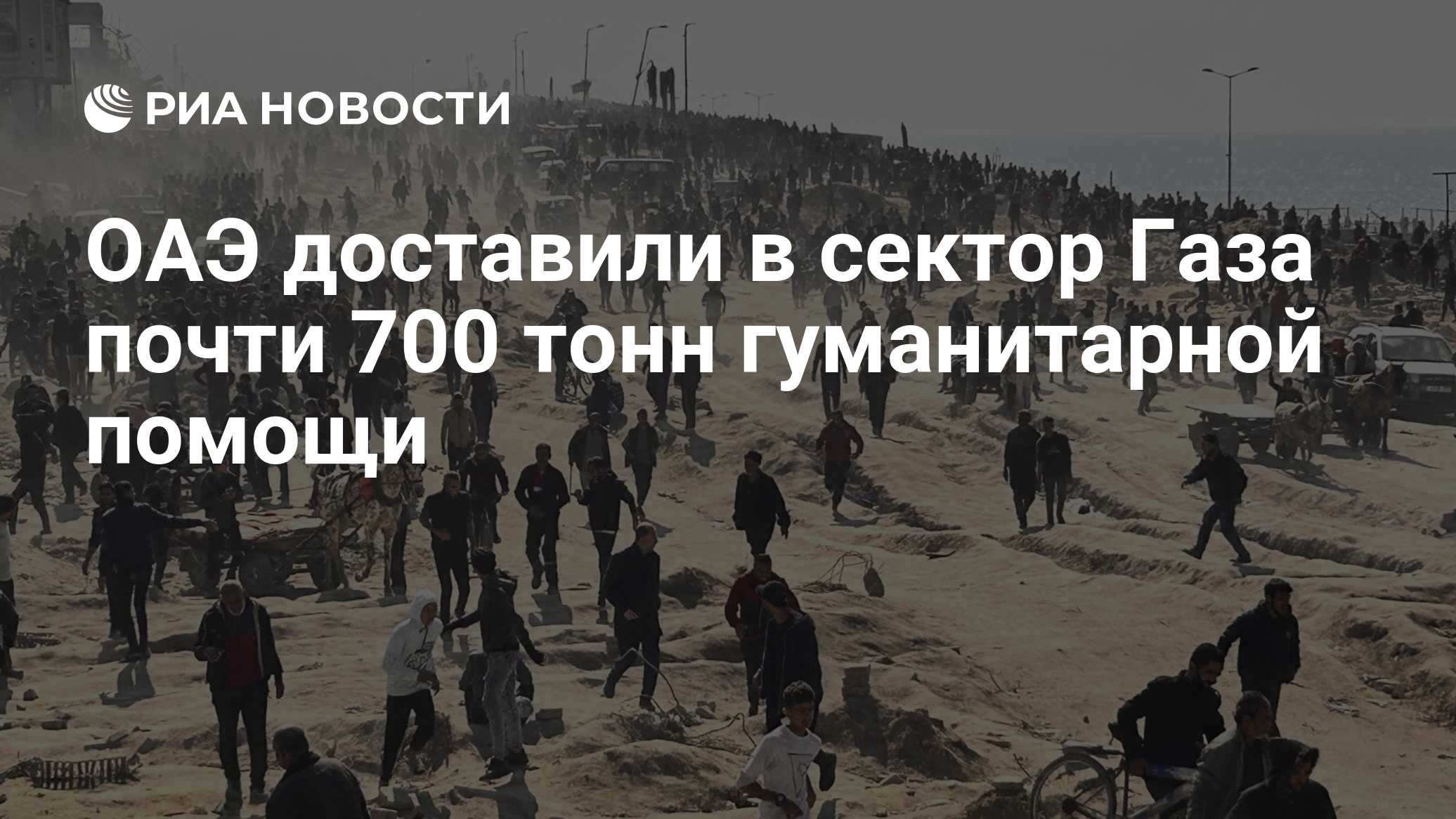 ОАЭ доставили в сектор Газа почти 700 тонн гуманитарной помощи