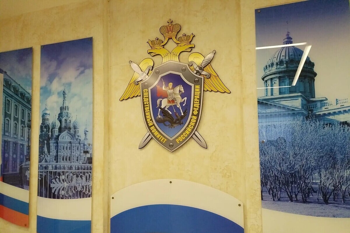 На пьяного отца завели уголовное дело после гибели дочери в ДТП под Приозерском