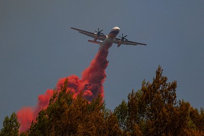 Во Франции для борьбы с лесными пожарами задействовали две тысячи военных