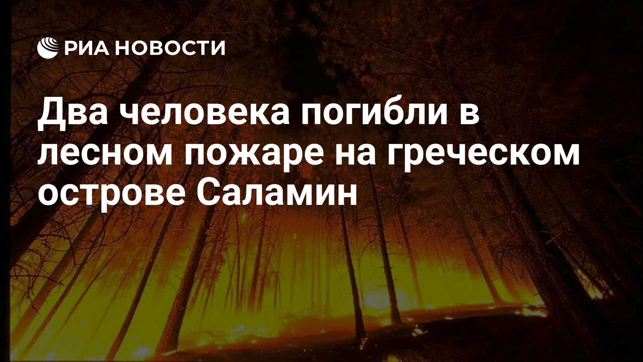 Два человека погибли в лесном пожаре на греческом острове Саламин