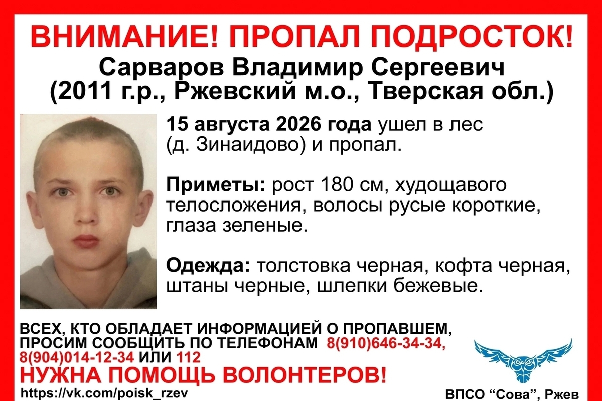 Подросток ушел в лес и пропал в Тверской области
