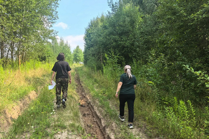 Курские лесные инспекторы выявили 17 нарушений с начала года