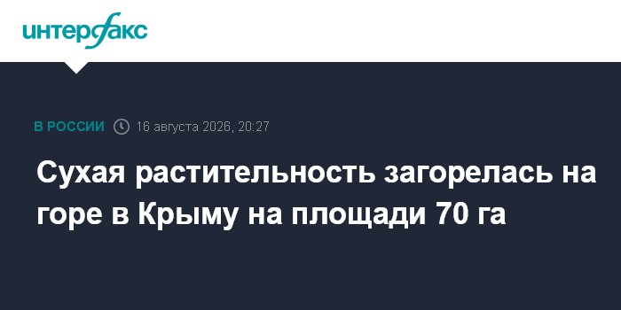 Сухая растительность загорелась на горе в Крыму на площади 70 га
