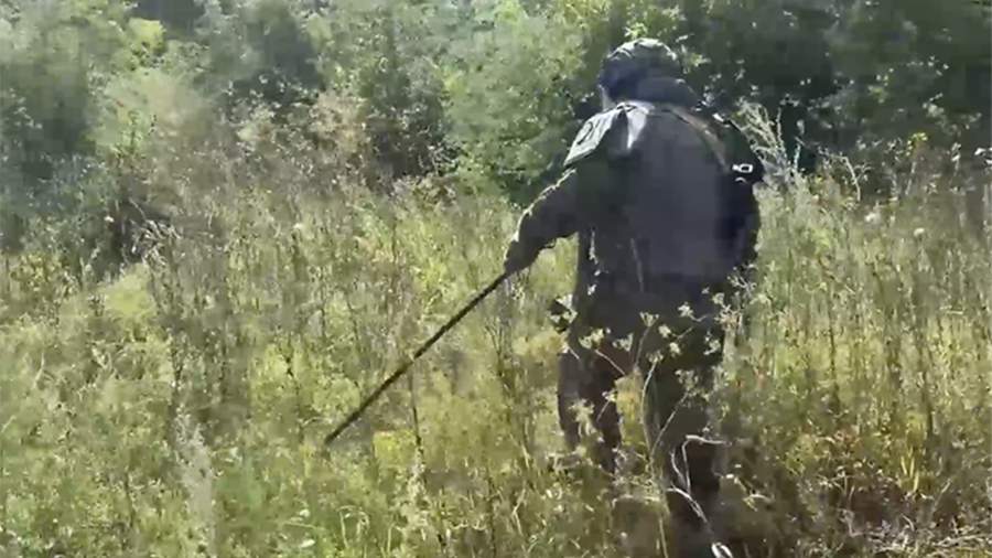 Связисты рассказали о применении новейшего прибора «Невидимка» в зоне СВО