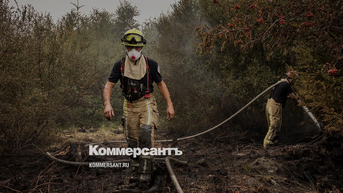 Крупнейший в истории Бельгии лесной пожар движется к границе с Германией