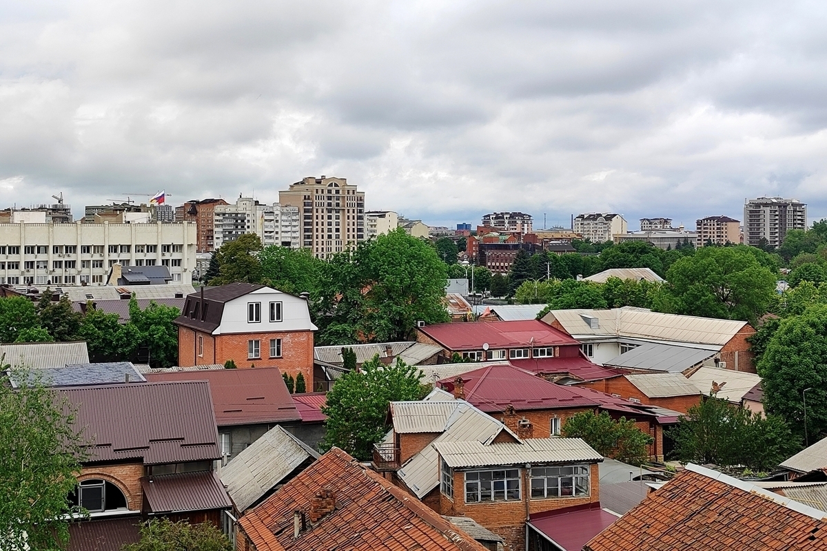 Во Владикавказе прохожие спасли котенка