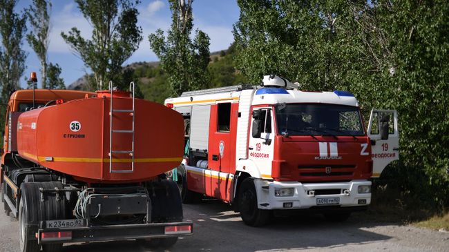 В Севастополе из-за упавших обломков БПЛА загорелся лес