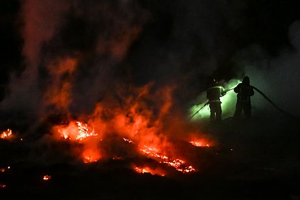 В Севастополе из-за обломков БПЛА загорелся лес рядом с пляжем