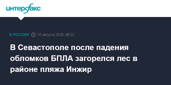 В Севастополе после падения обломков БПЛА загорелся лес в районе пляжа Инжи?