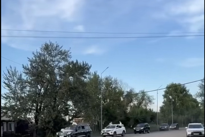 В столице Тувы водителя свадебного кортежа привлекли к ответственности за четыре нарушения ПДД