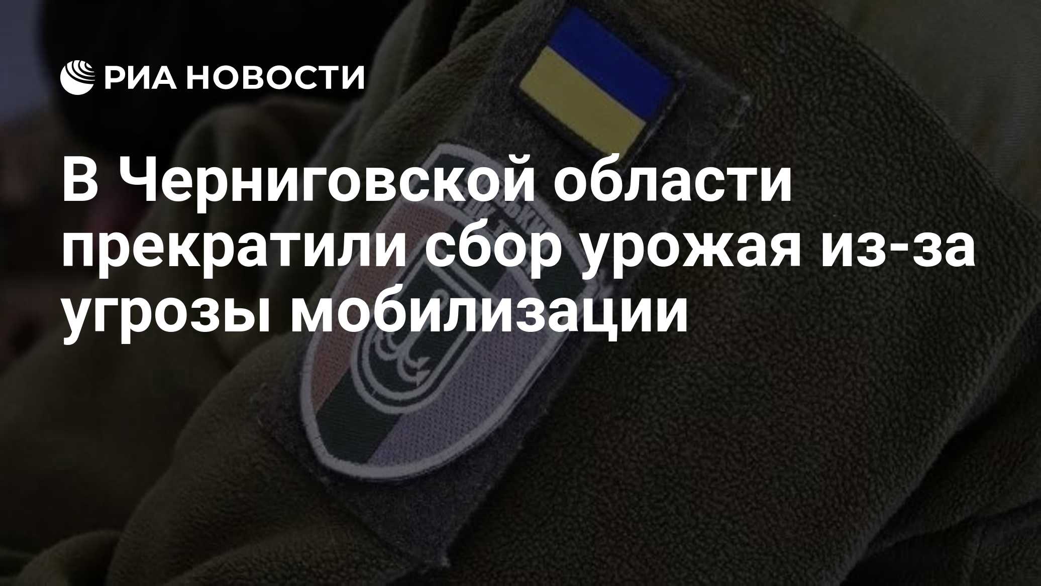 В Черниговской области прекратили сбор урожая из-за угрозы мобилизации
