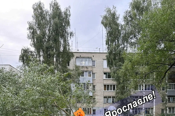 В Ярославле на проезде Ушакова рухнуло еще одно старое дерево