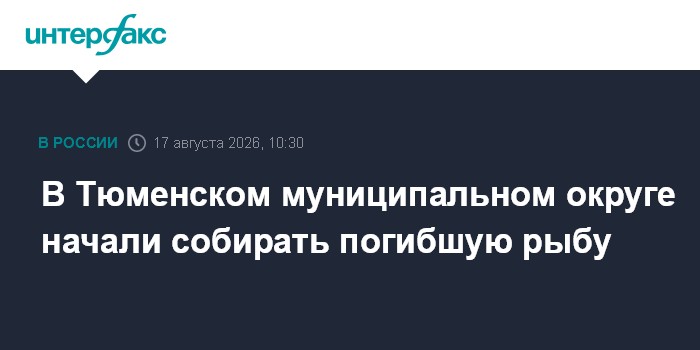 В Тюменском муниципальном округе начали собирать погибшую рыбу